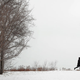 Foto: Scott Olson (Getty Images)